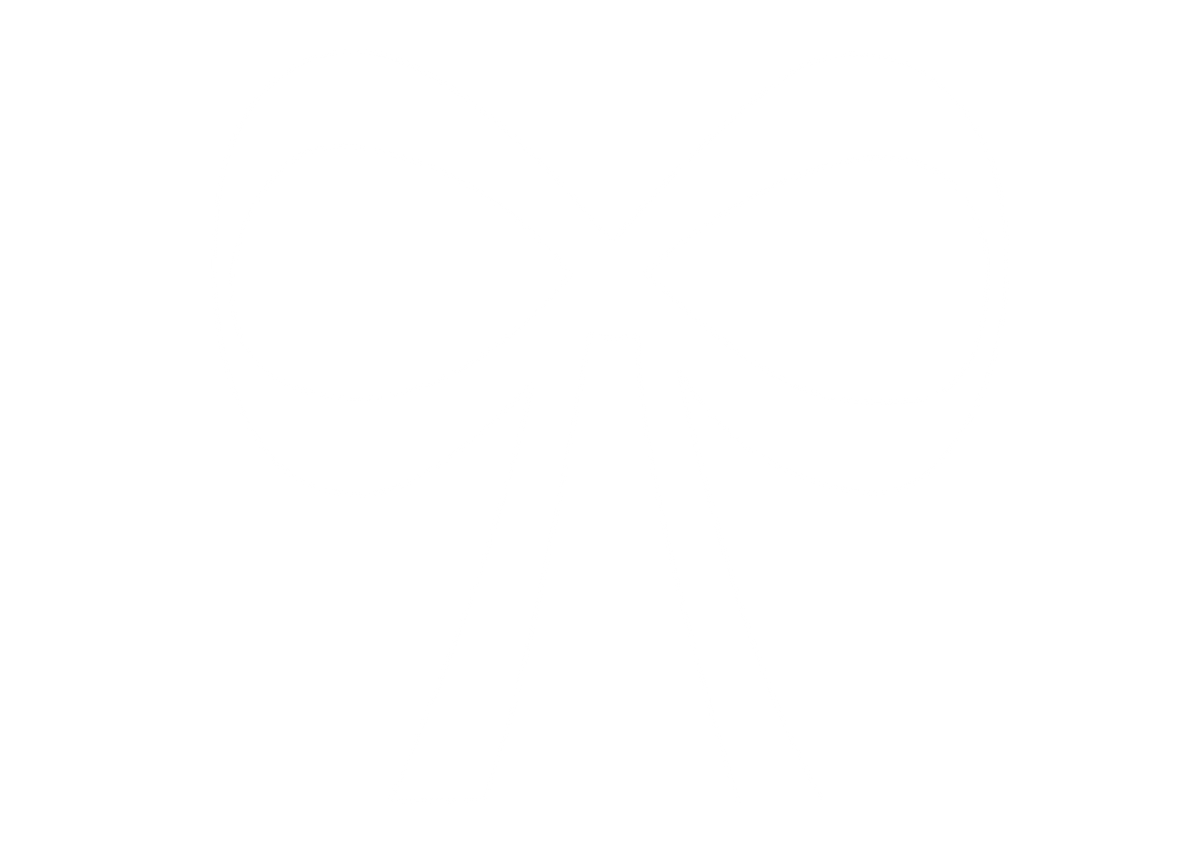 Briad & Bow bow logo in white on a clear background