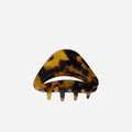Dark tortoiseshell medium sized hair claw with a cut away feature on an off white backgound