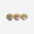 Gold shell hair barrette, featuring 3 shells, on an off white background