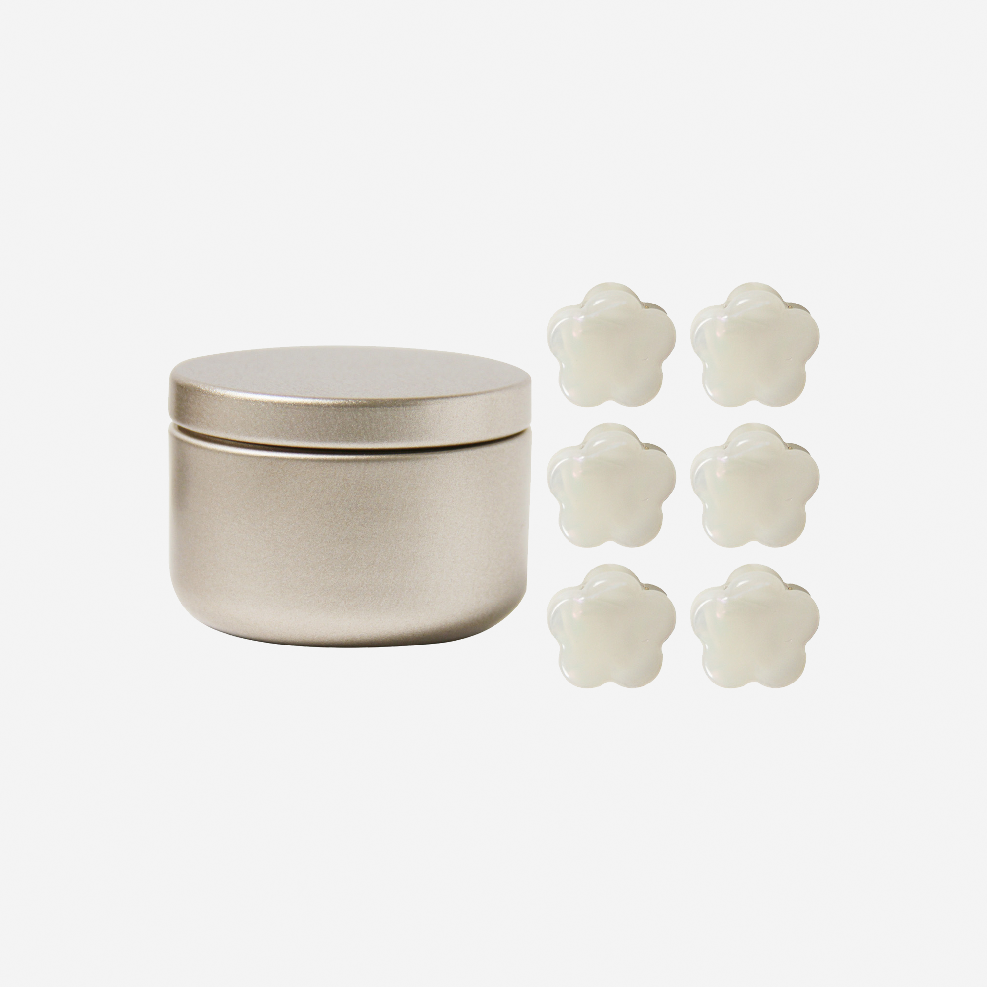 Set of 6 Flower Mini Hair Claws in a Gold Tin